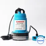 Máy Bơm Chìm Chạy Pin BOSSUN BS-BCP03BL 100W